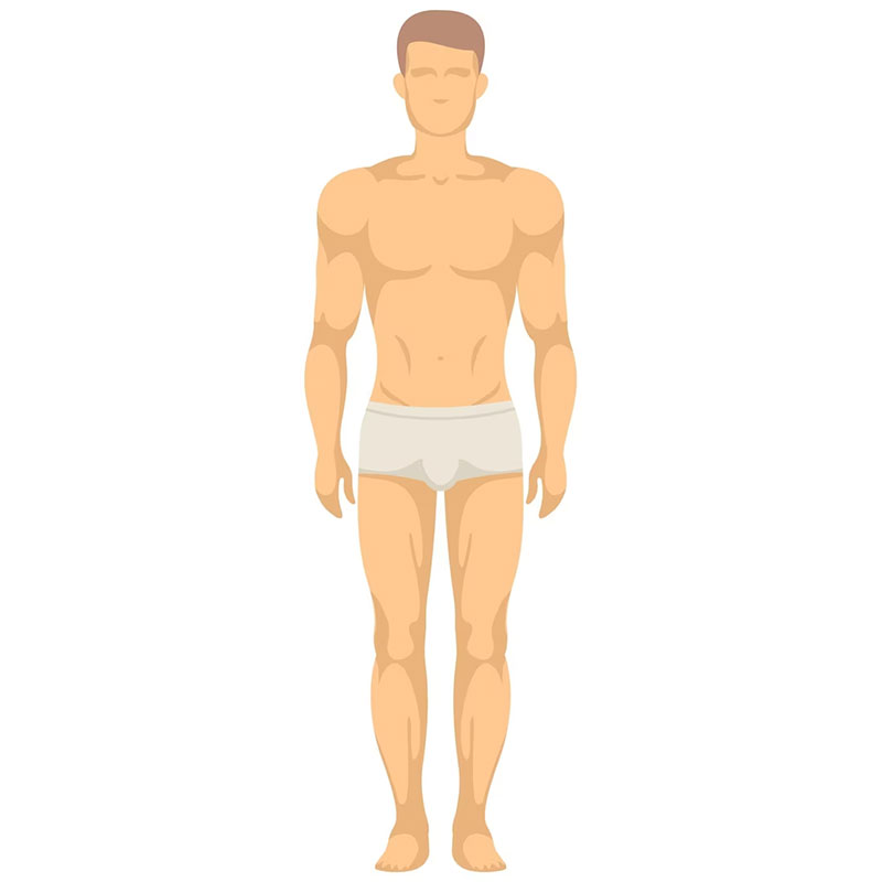 Whole Body Health Check-Up Male